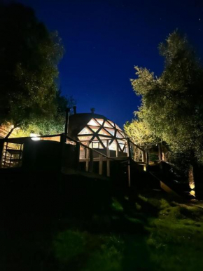 Cabaña Domo Bosque Escondido
